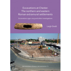 Excavations at Chester. The Northern and Eastern Roman Extramural Settlements: Excavations 1990-2019 and other investigations