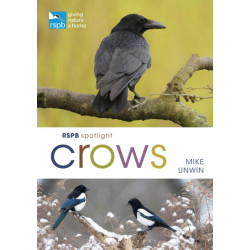 RSPB Spotlight Crows
