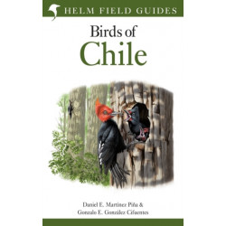 Field Guide to the Birds of Chile