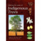 Making the most of indigenous trees