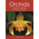 Orchids in South Africa: A gardener’s guide