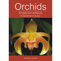 Orchids in South Africa: A gardener’s guide