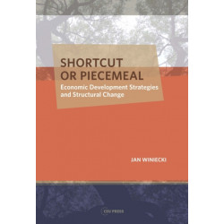 Shortcut or Piecemeal: Economic Development Strategies and Structural Change