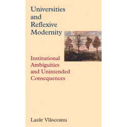 Universities and Reflexive Modernity: Institutional Ambiguities and Unintended Consequences