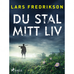 Du stal mitt liv