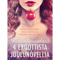 Kalenteriseksiä - 4 eroottista joulunovellia