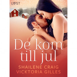 De kom till jul - erotisk julnovell