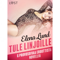 Tule linjoille - 6 provosoivaa eroottista novellia
