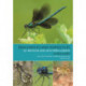 Dragonflies and Damselflies of Britain and Western Europe: A Photographic Guide