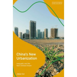 China's New Urbanization: Inequality and the New Chinese Dream