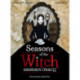 Seasons of the Witch: Samhain Oracle: Harness the intuitive power of the year's most magical night
