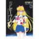 Codename: Sailor V Eternal Edition 2 (Sailor Moon Eternal Edition 12)