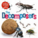 The Insects that Run Our World: The Decomposers