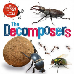 The Insects that Run Our World: The Decomposers