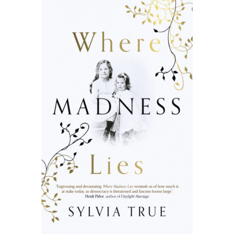 Where Madness Lies: A Novel