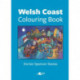 Welsh Coast Colouring Book