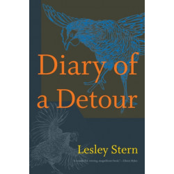 Diary of a Detour