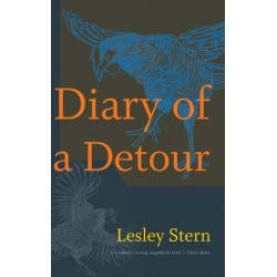 Diary of a Detour