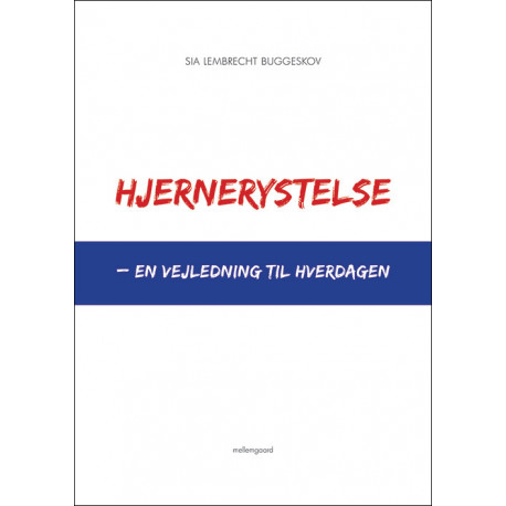 Hjernerystelse – en vejledning til hverdagen