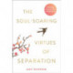 The Soul-Soaring Virtues of Separation: 111 Learnings to Heal Your Heart and Help You Fly