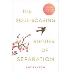 The Soul-Soaring Virtues of Separation: 111 Learnings to Heal Your Heart and Help You Fly