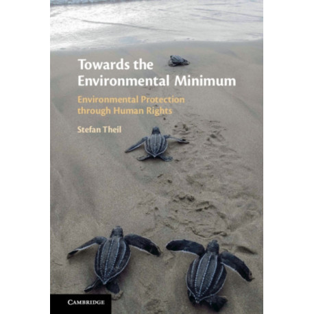 Towards the Environmental Minimum: Environmental Protection through Human Rights