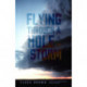 Flying Through a Hole in the Storm: Poems