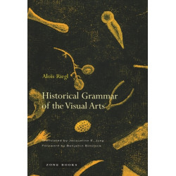 Historical Grammar of the Visual Arts