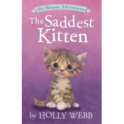The Saddest Kitten