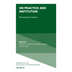 On Practice and Institution: Theorizing the Interface