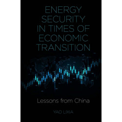 Energy Security in Times of Economic Transition: Lessons from China