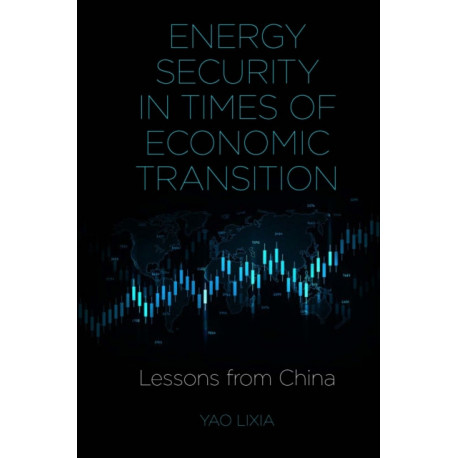 Energy Security in Times of Economic Transition: Lessons from China