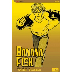 Banana Fish, Vol. 14