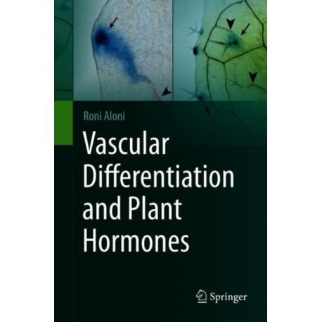Vascular Differentiation and Plant Hormones
