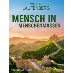 Mensch in Menschenmassen - Ein Chinaroman