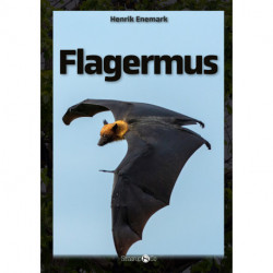 Flagermus