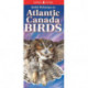 Quick Reference to Atlantic Canada Birds