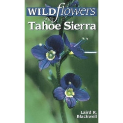 Wildflowers of the Tahoe Sierra