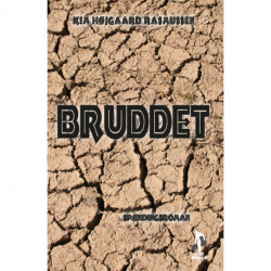 Bruddet