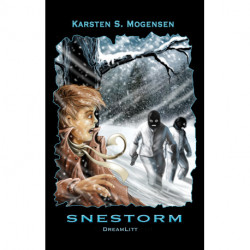 Snestorm