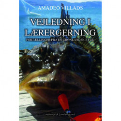 Vejledning i læregerning: Fortællinger fra en grønlandsk bygd