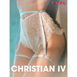 Christian IV - erobreren - erotiske noveller