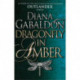 Dragonfly in Amber