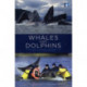 Whales and Dolphins: Cognition, Culture, Conservation and Human Perceptions