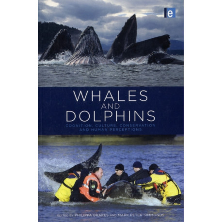 Whales and Dolphins: Cognition, Culture, Conservation and Human Perceptions