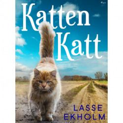 Katten Katt