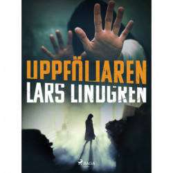 Uppföljaren