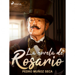 La novela de Rosario