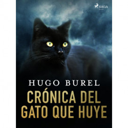 Crónica del gato que huye