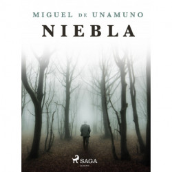Niebla